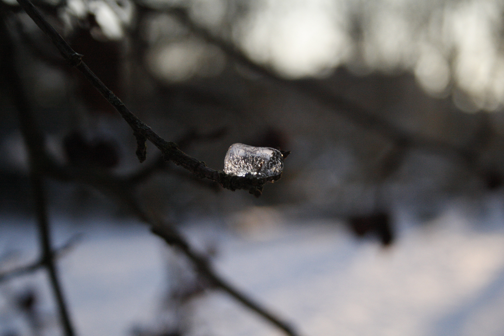 frozen water