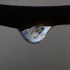 frozen water drop