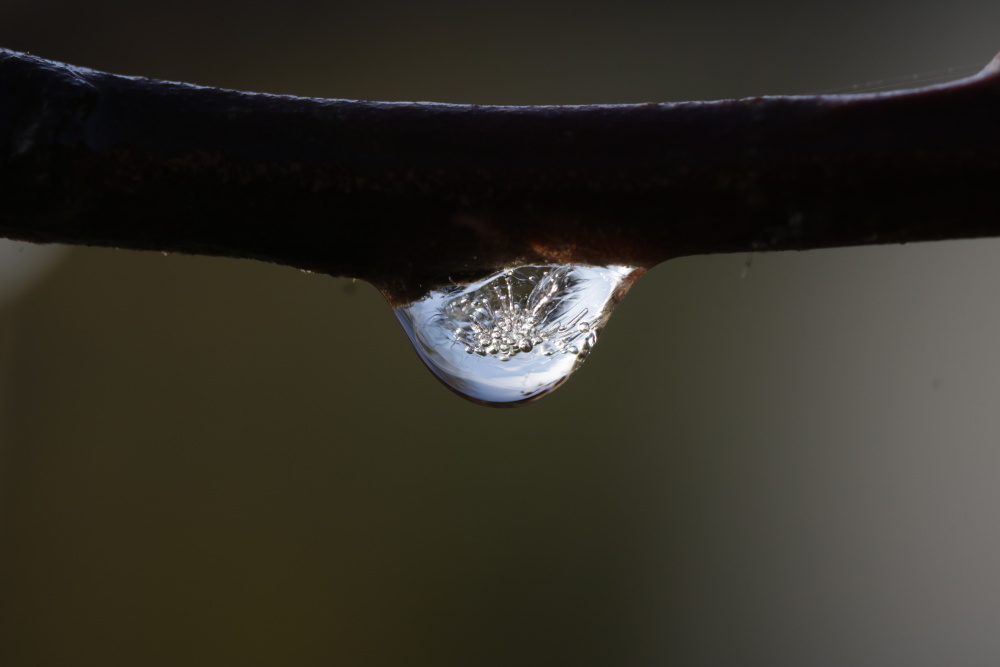 frozen water drop