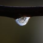 frozen water drop