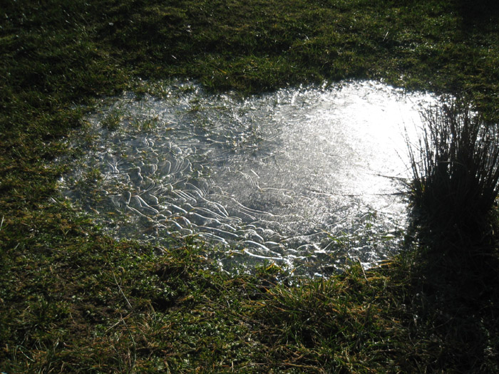 Frozen water shaped as a heart 