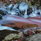 frozen water-tongue