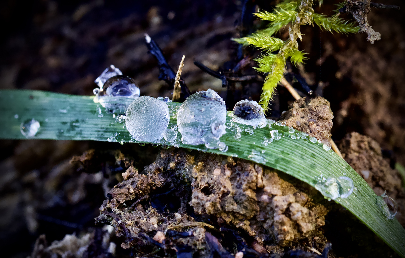Frozen Waterdrops