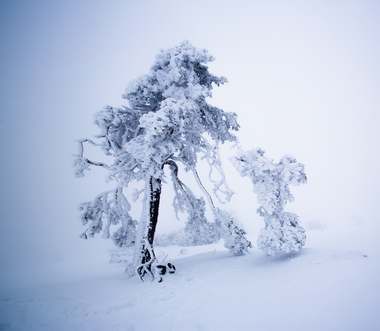 Frozen Whiteout Peak