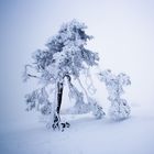 Frozen Whiteout Peak