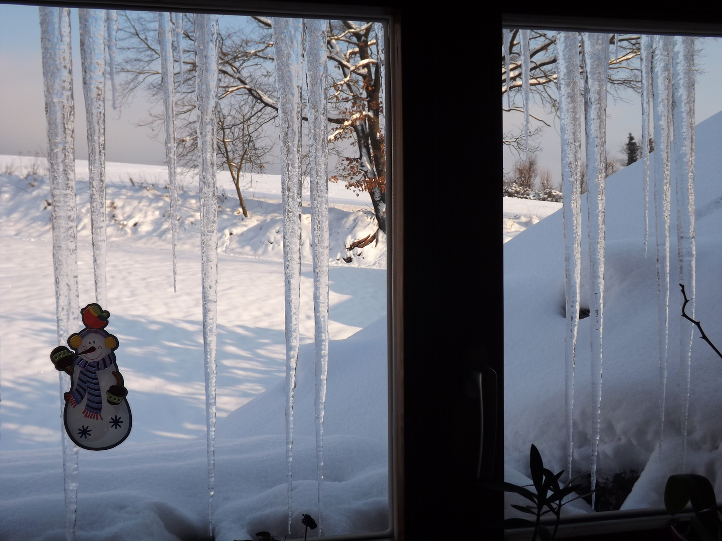 Frozen window