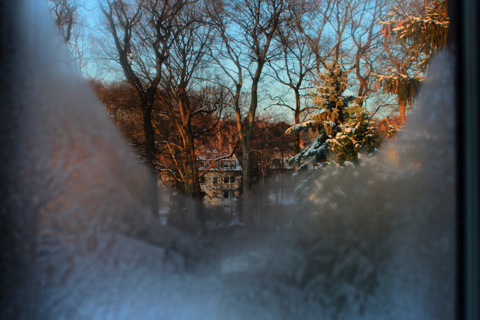 Frozen Window