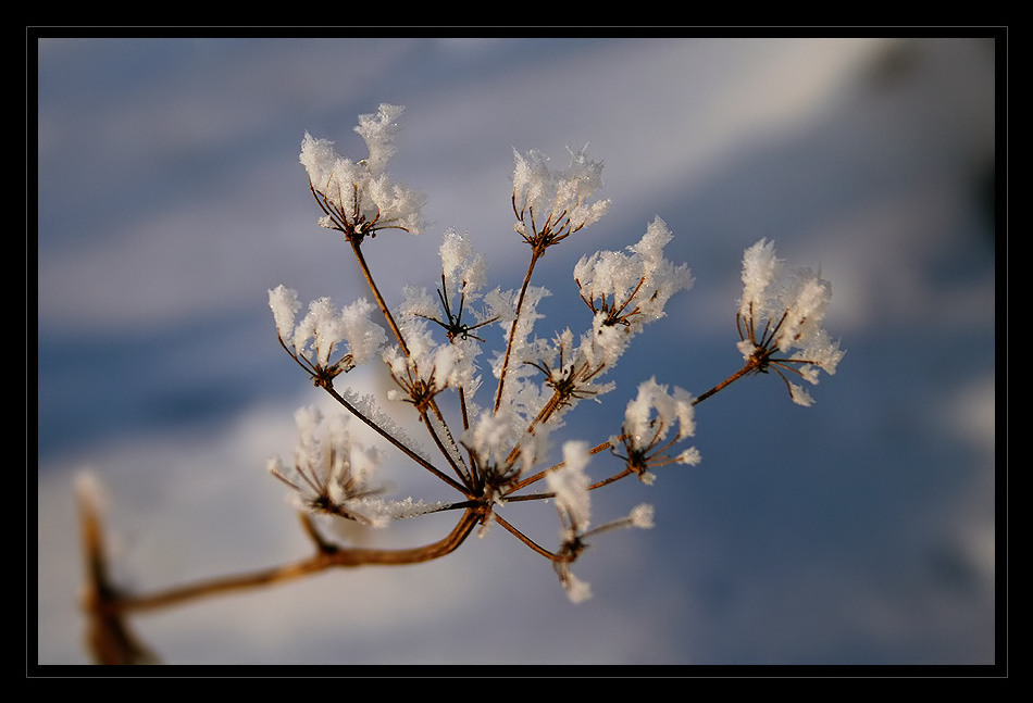 *Frozen World* [#2]