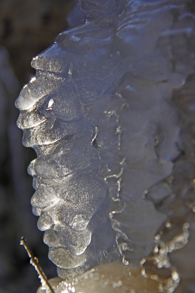 Frozen Zurich