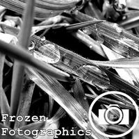 FrozenFotographics