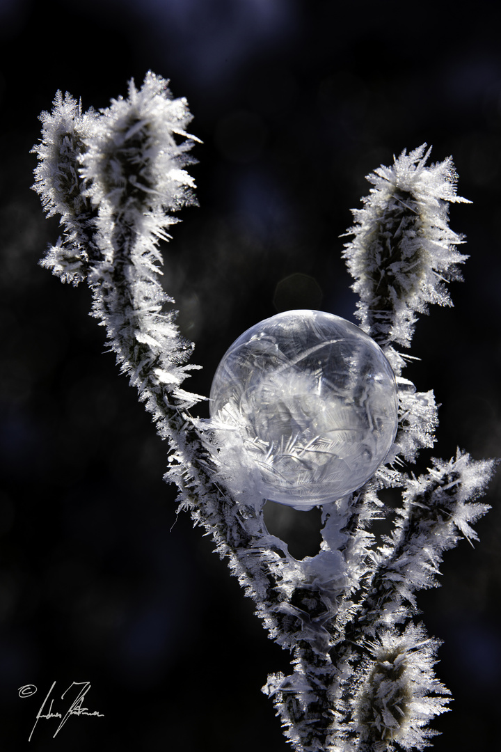 frozen_soap_bubble_02