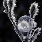 frozen_soap_bubble_02