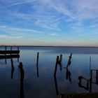 Frrühlingserwachen am Steinhuder Meer