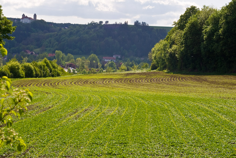 Fruchtbare Furchen