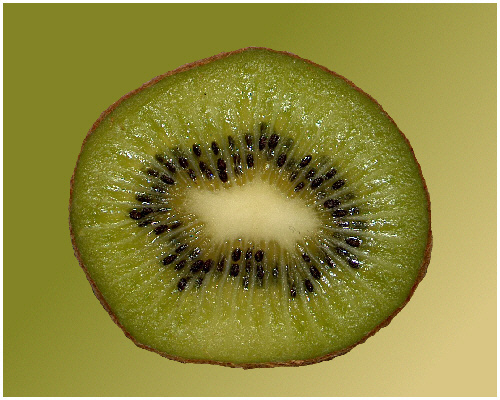 Fruchtig - Kiwi
