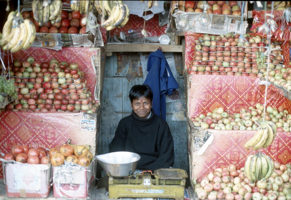 Fruchtstand in Darjeeling