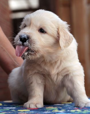 Fruchtzwerg trifft Zuckerschnute... ;O)