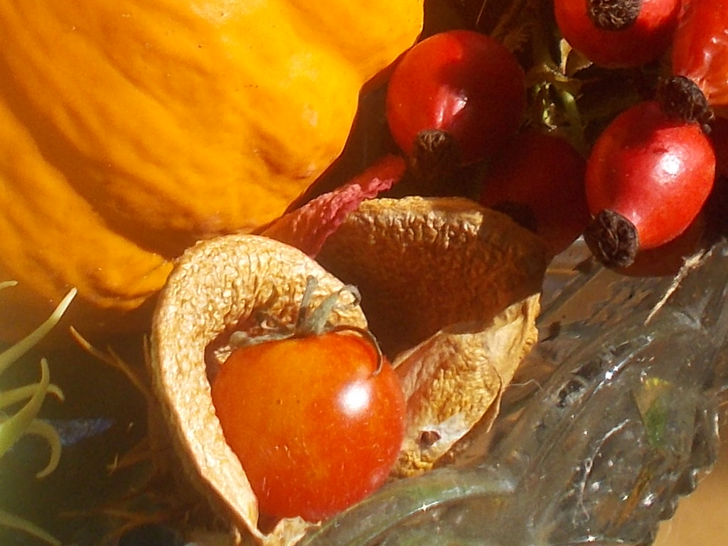 Früchte des Herbstes