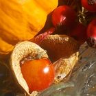 Früchte des Herbstes