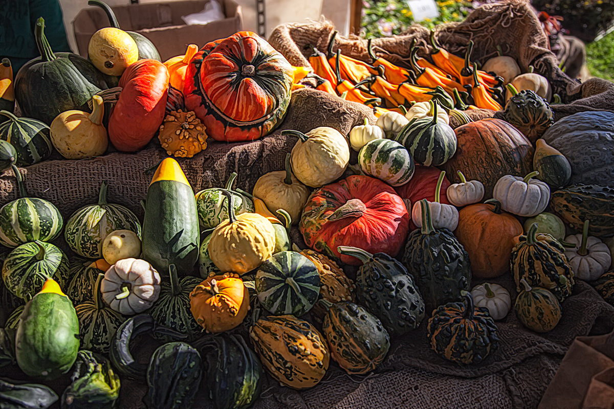 Früchte des Herbstes