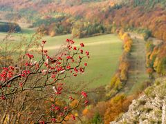 Früchte des Herbstes