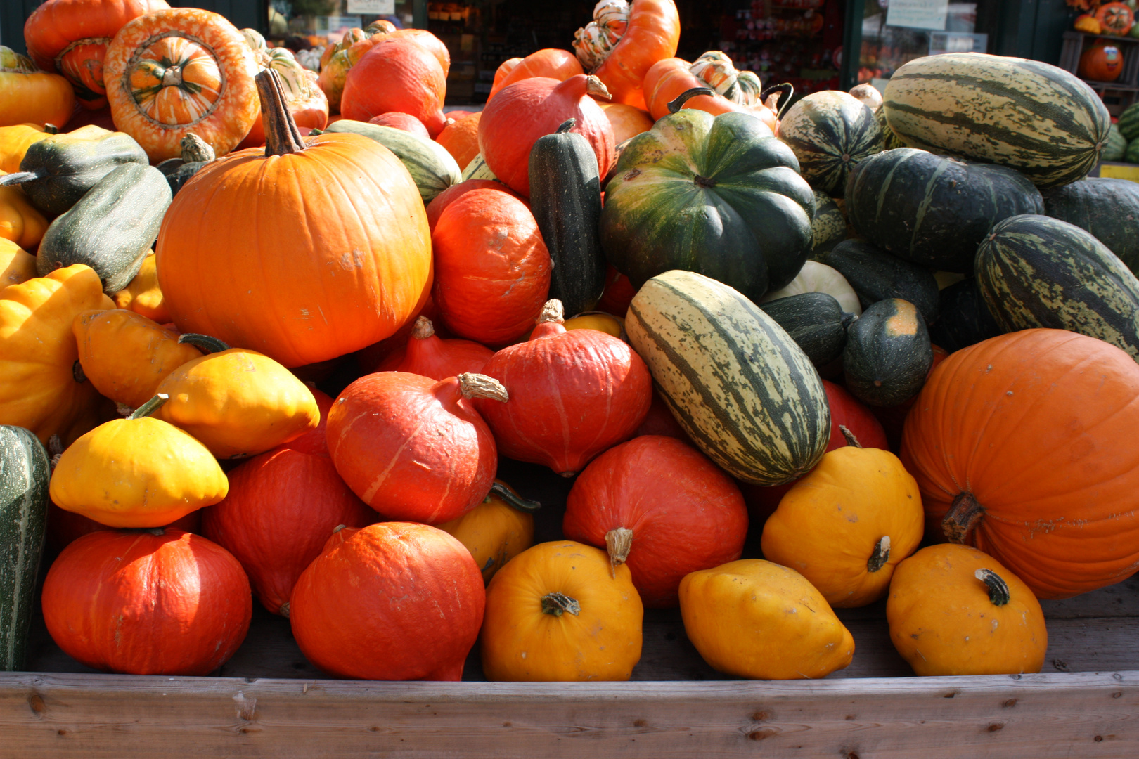 Früchte im Herbst