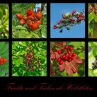 Früchte und Farben als Herbstboten