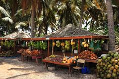 Früchte unter Palmen