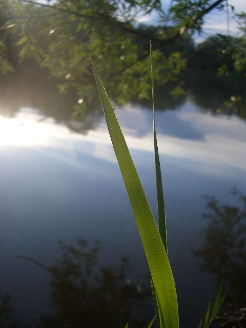 früh am abend