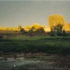 früh am Fluss Dordogne