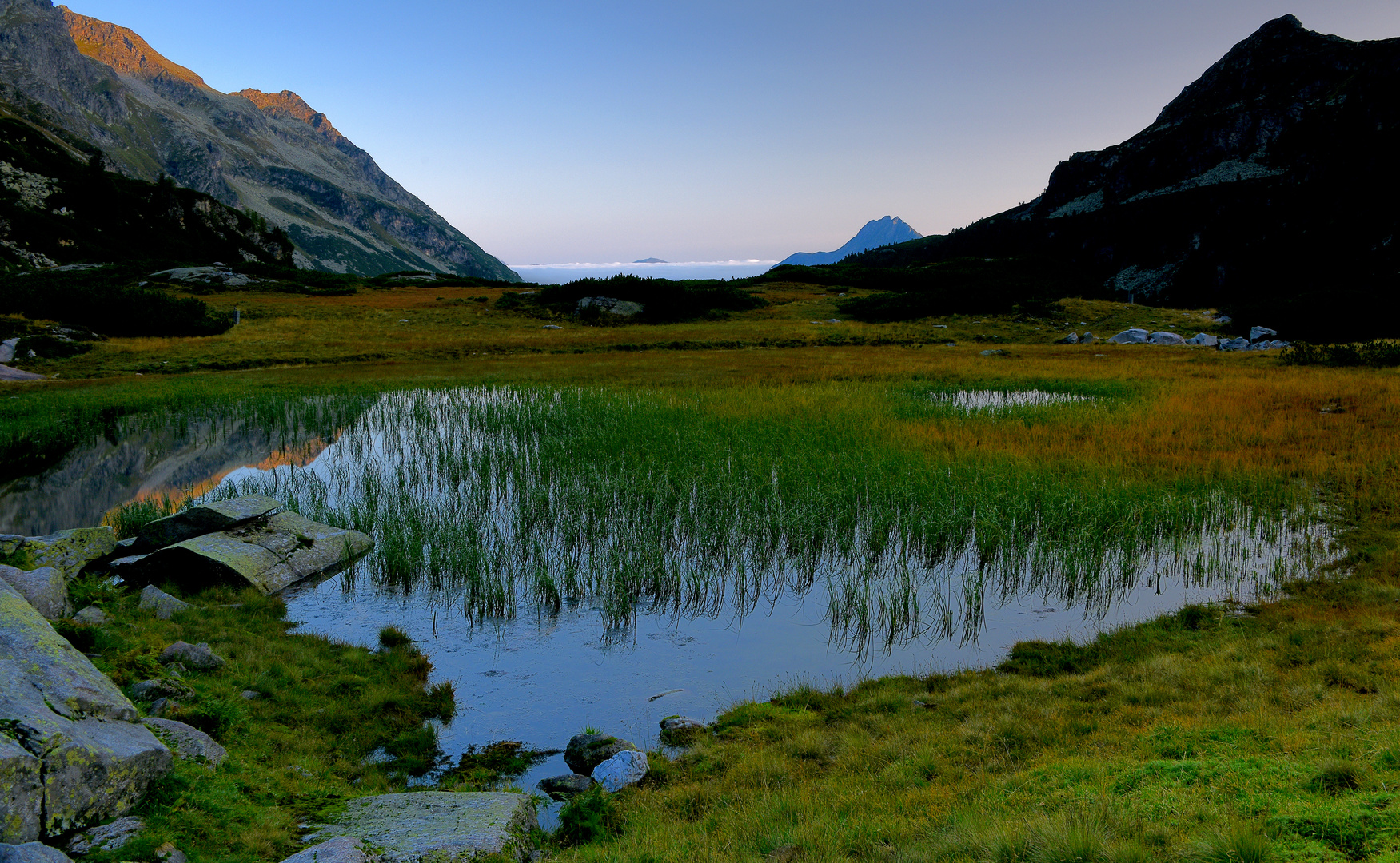 früh am Hochmoor