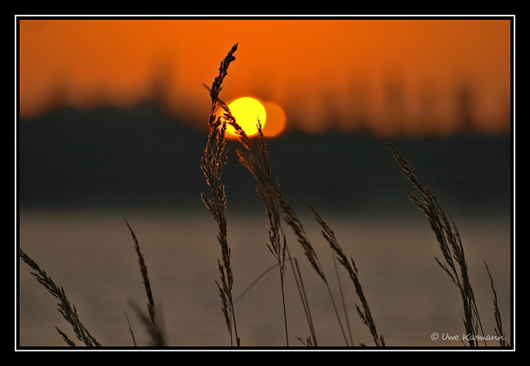 ...früh am Morgen... (01446)