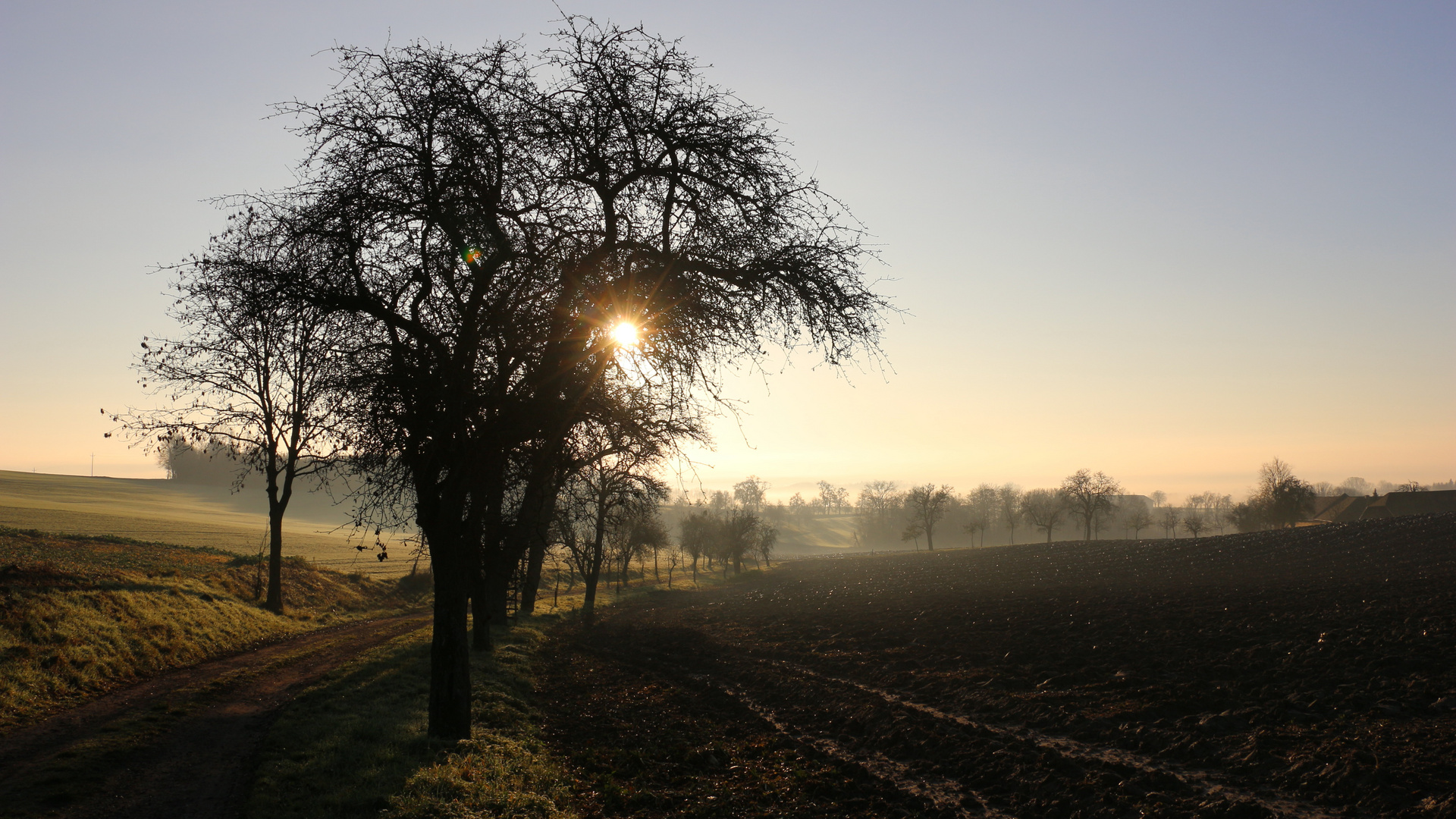 Früh am Morgen