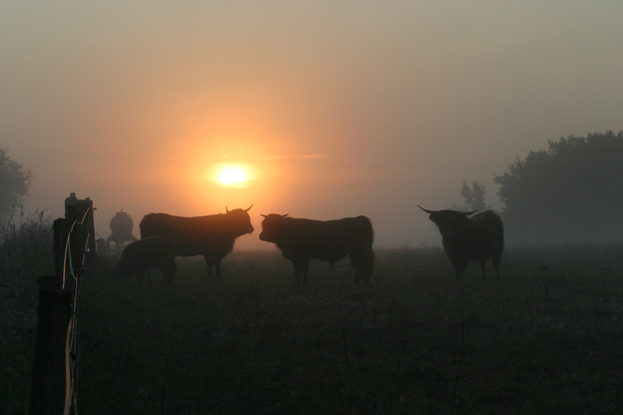 Früh am Morgen