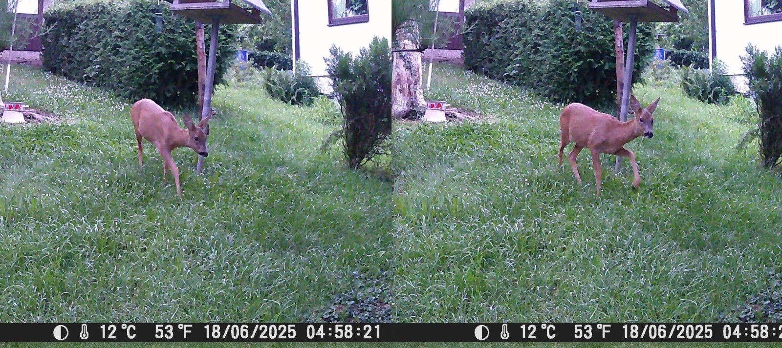 Früh am Morgen 