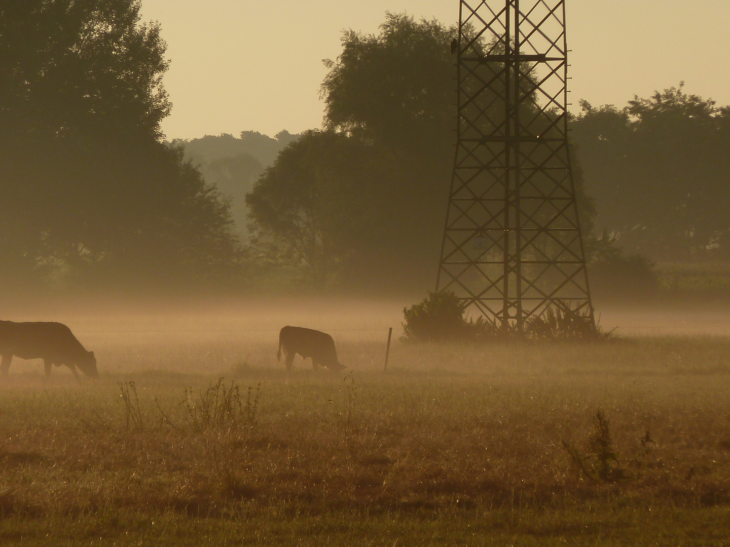 Früh am Morgen