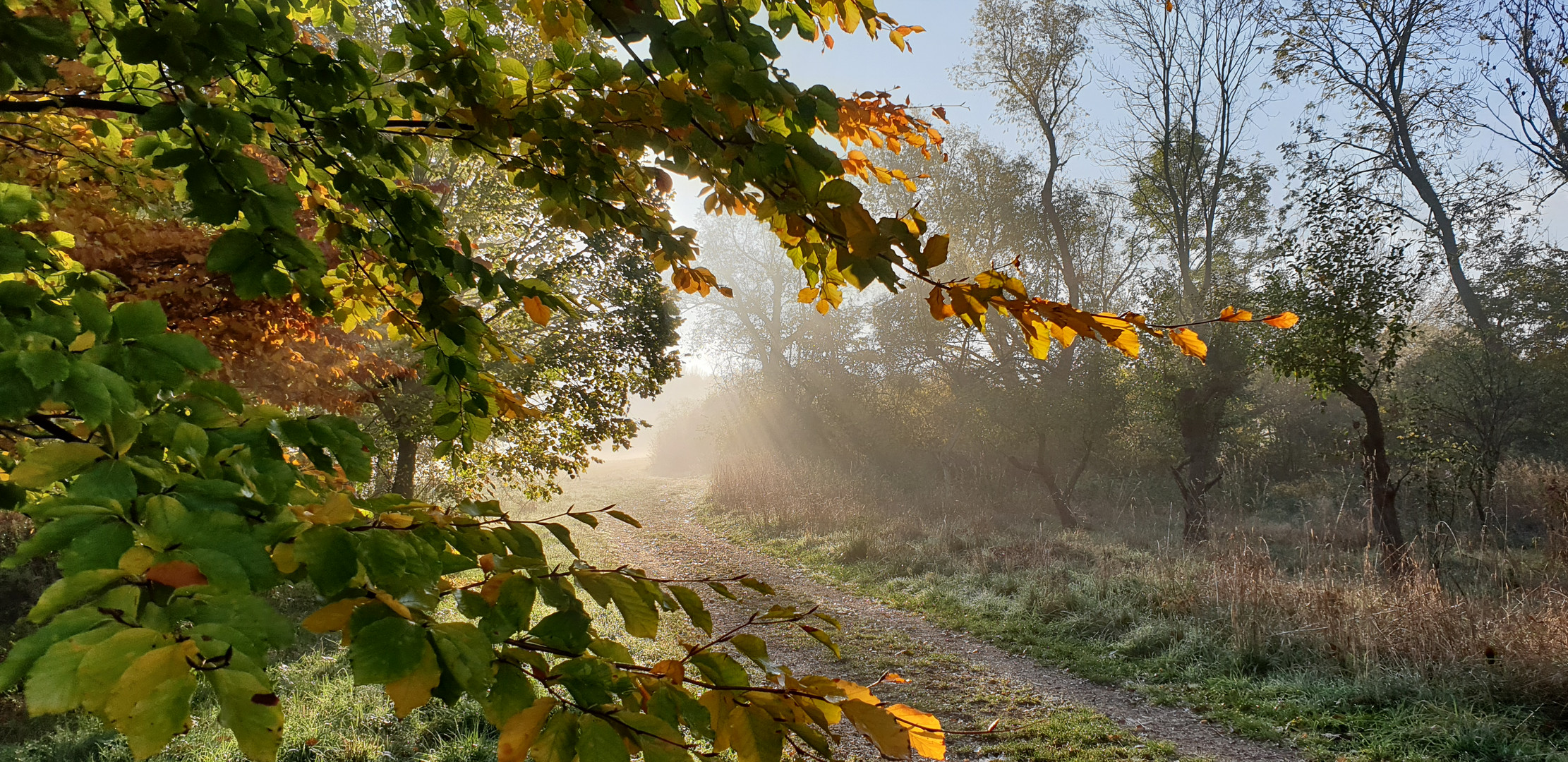 Früh am Morgen - 1