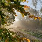 Früh am Morgen - 1