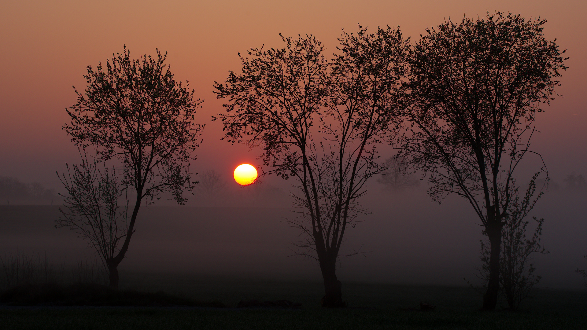 Früh am Morgen 1