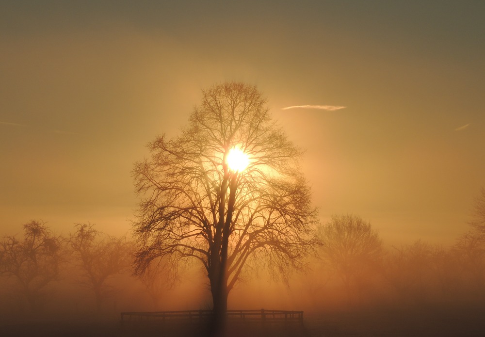 Früh am Morgen...