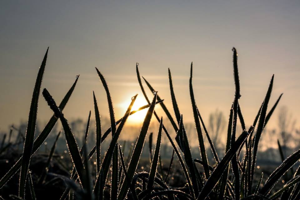 Früh am Morgen