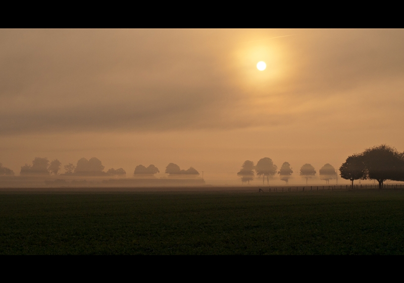 *Früh am Morgen*°°