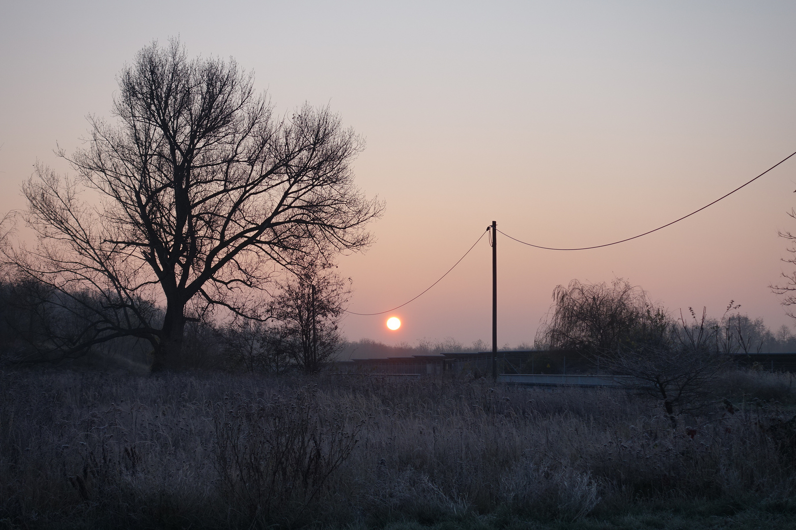 Früh am Morgen