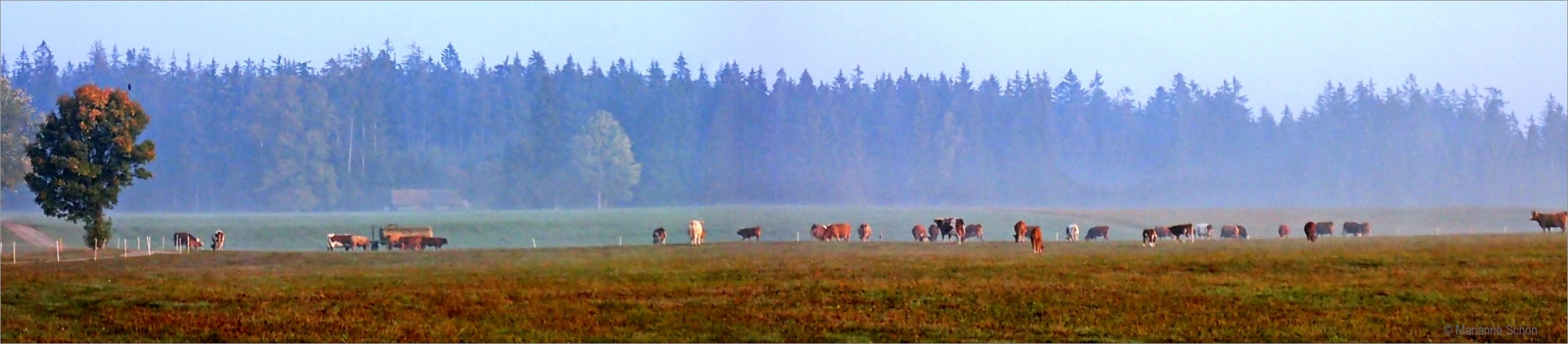 Früh am Morgen...