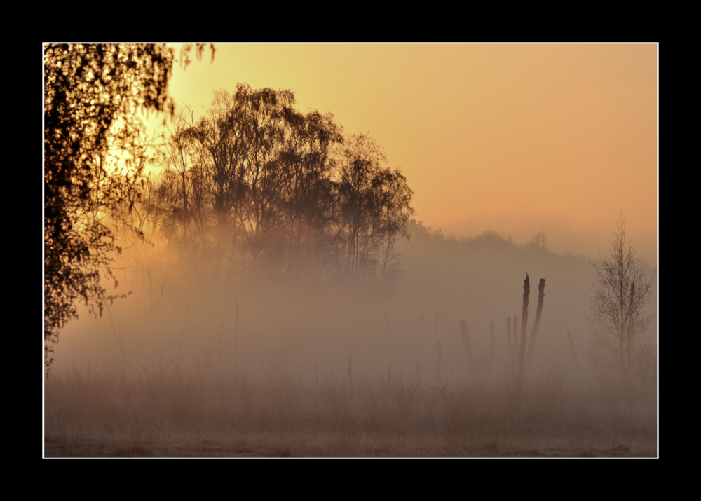 Früh am Morgen....   (2)