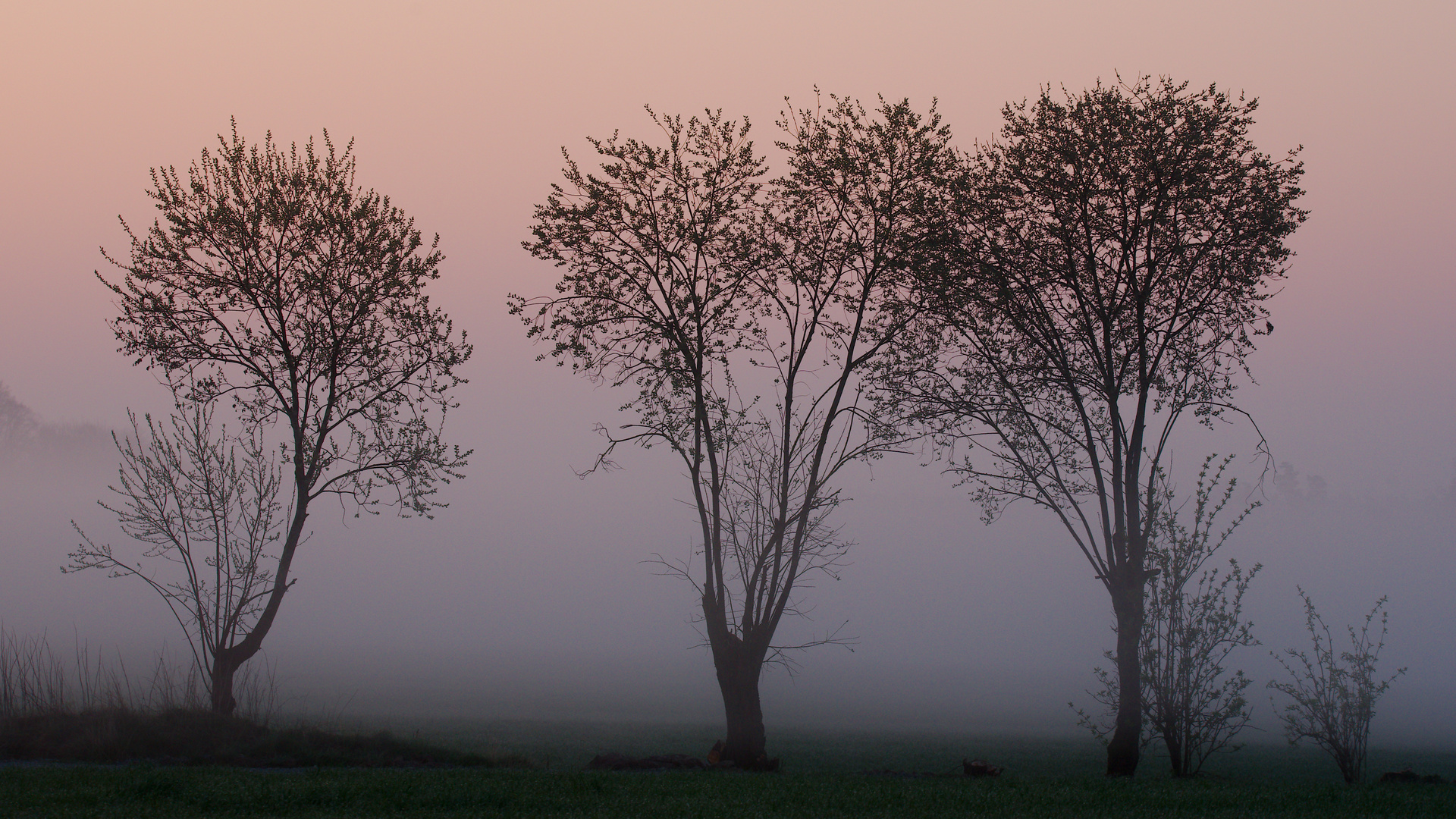 Früh am Morgen 2