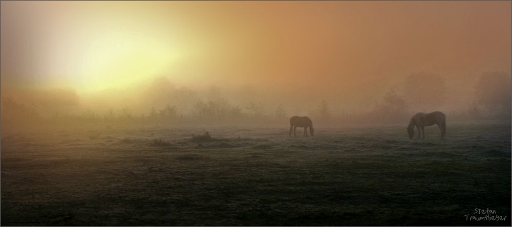 Früh am Morgen