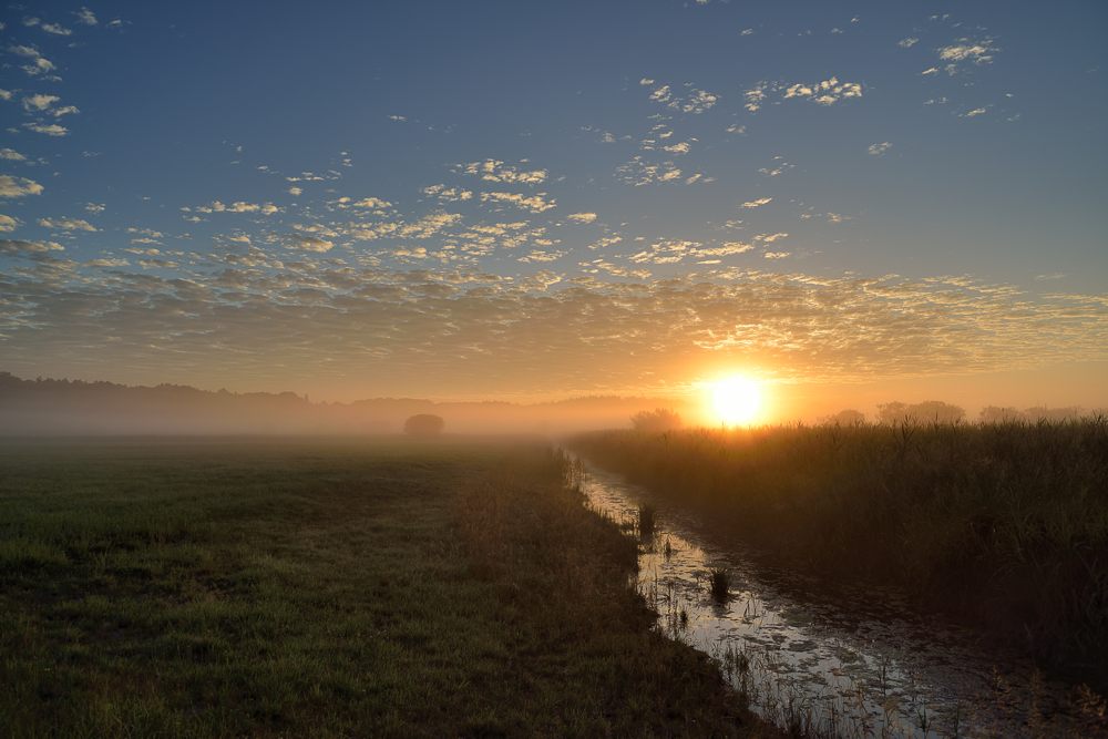 früh am Morgen