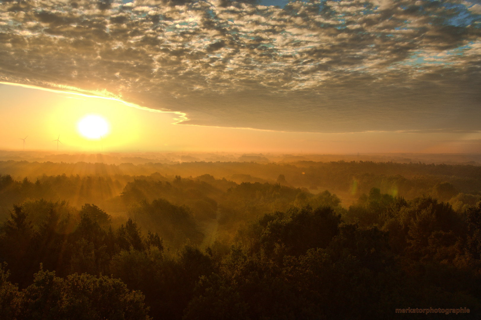 Früh am Morgen 3