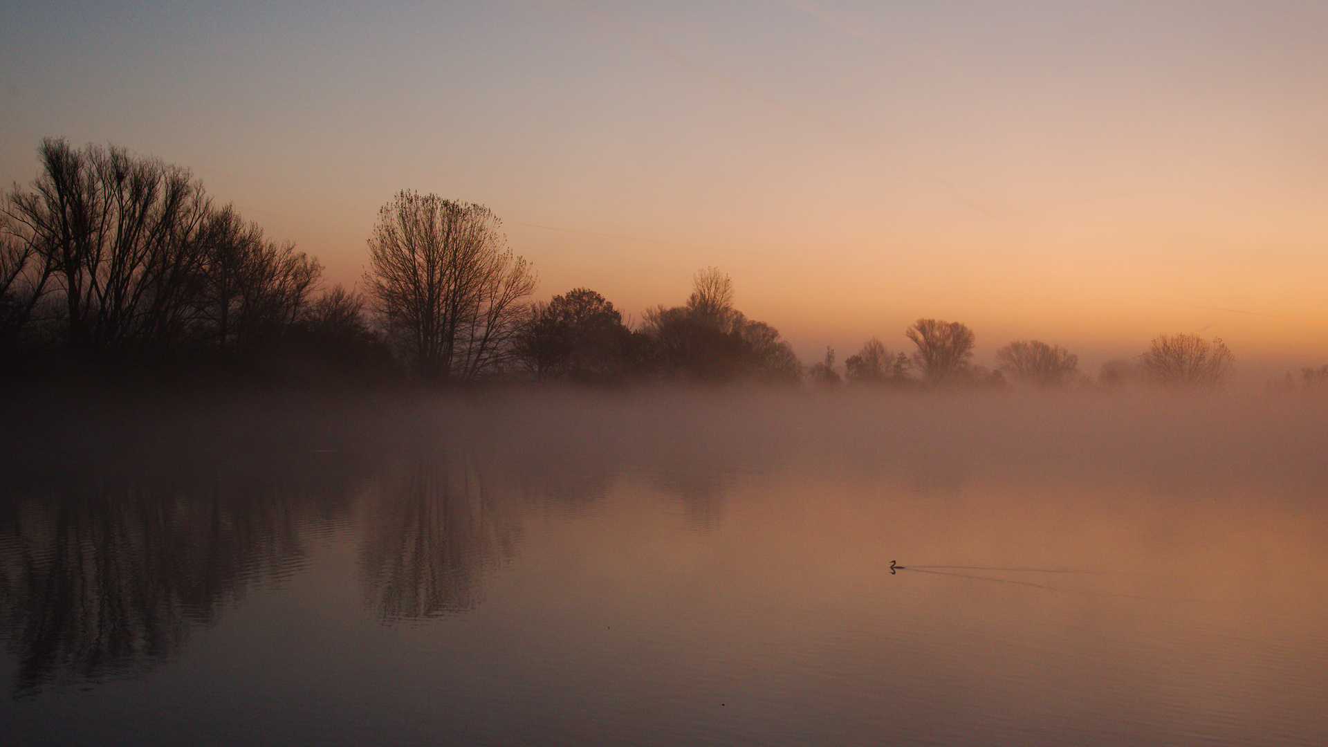 Früh am Morgen 4